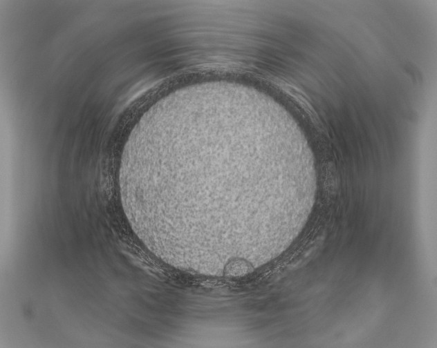 X0000110961015200907171645