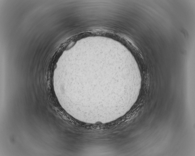 X0000110961016200907171645