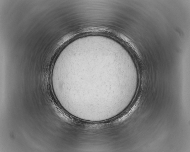 X0000110961017200907171645