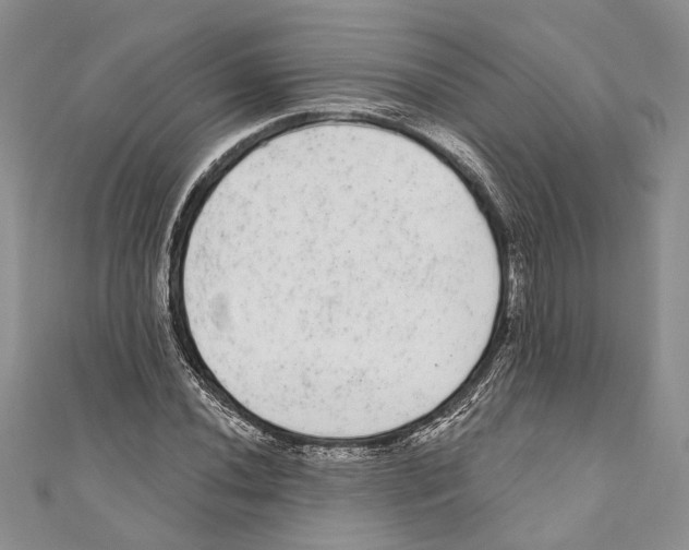 X0000110961020200907171645