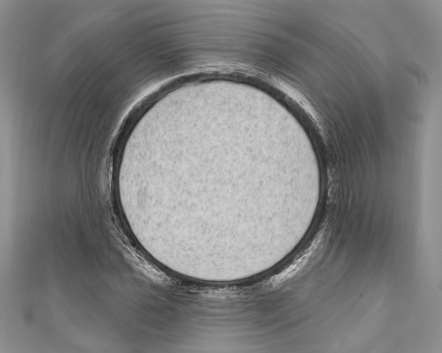 X0000110961021200907171645