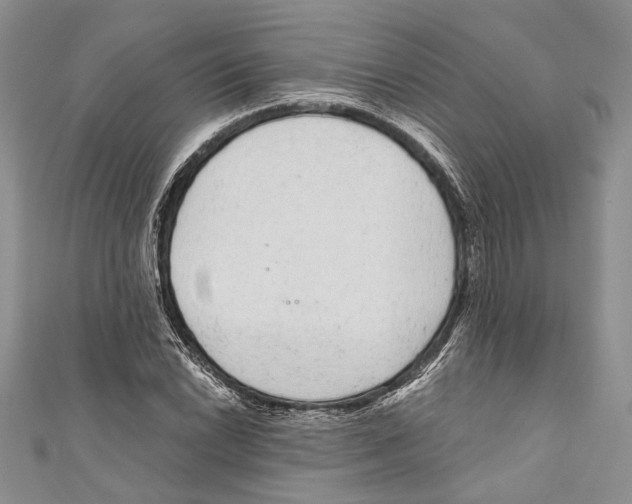 X0000110961022200907171645