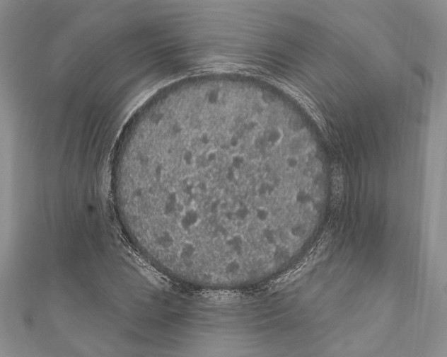 X0000110961023200907171645