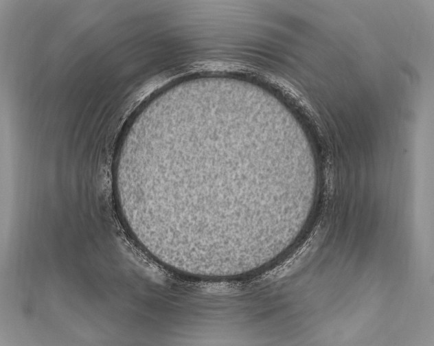 X0000110961025200907171645