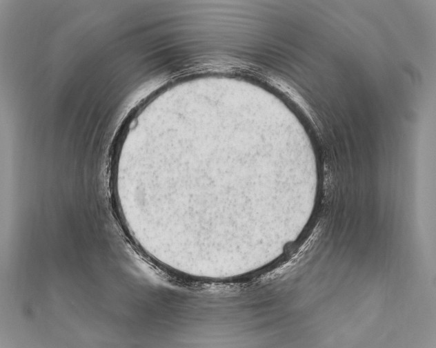X0000110961026200907171645