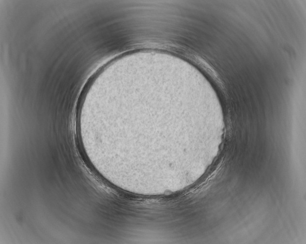 X0000110961028200907171645