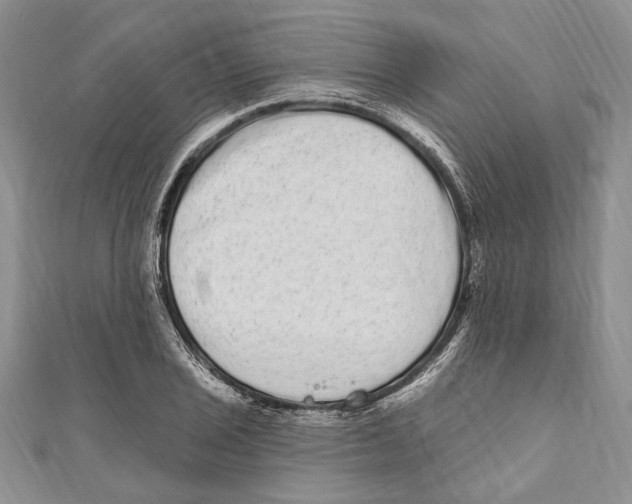 X0000110961029200907171645
