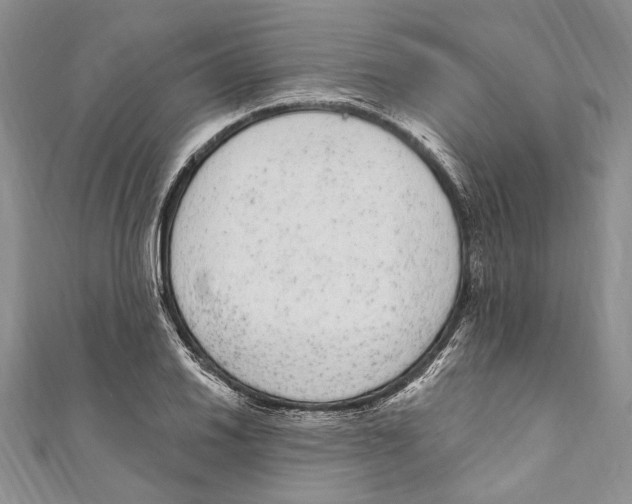 X0000110961030200907171645