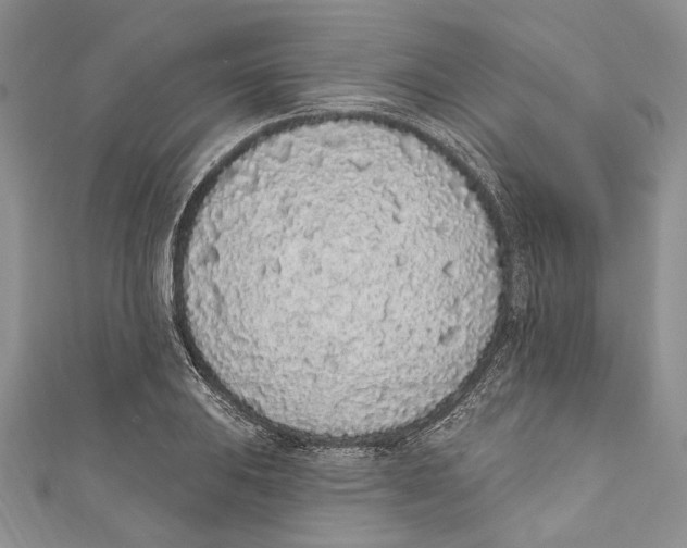 X0000110961031200907171645