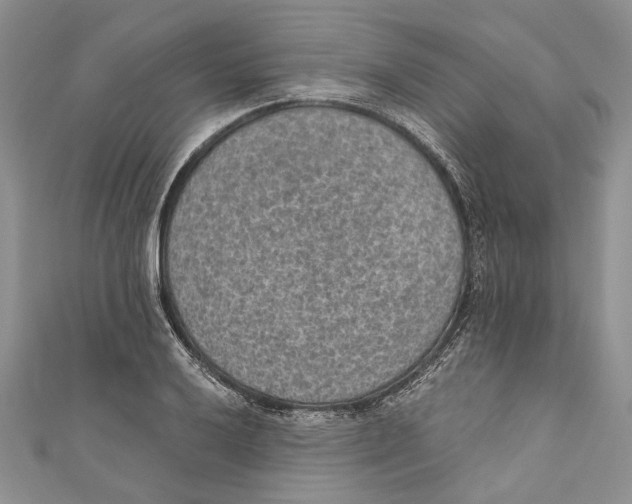 X0000110961032200907171645