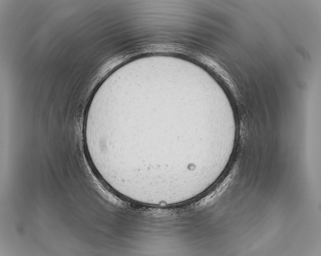 X0000110961033200907171645