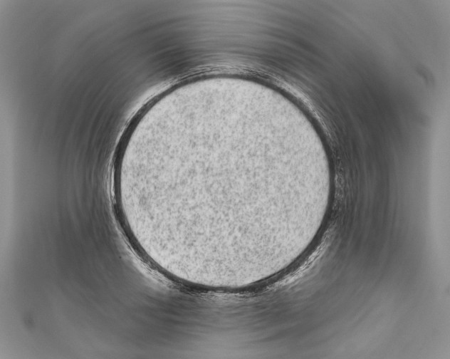 X0000110961034200907171645