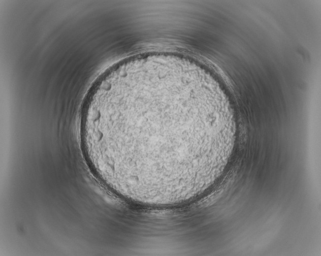 X0000110961035200907171645