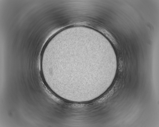 X0000110961036200907171645