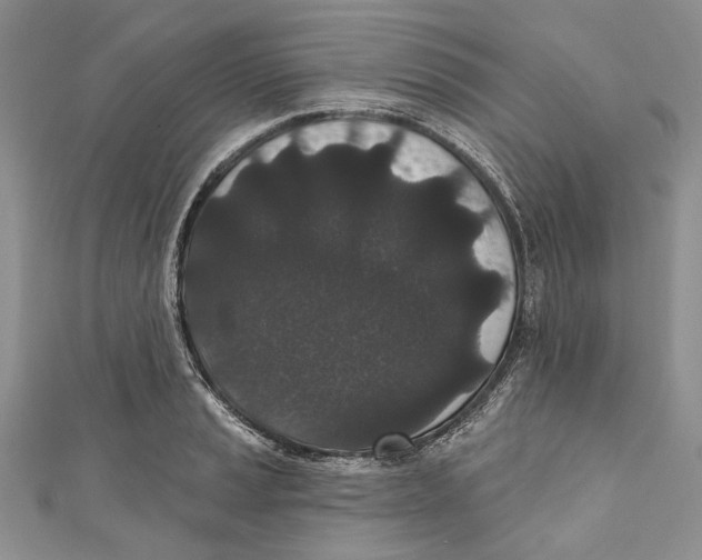 X0000110961037200907171645