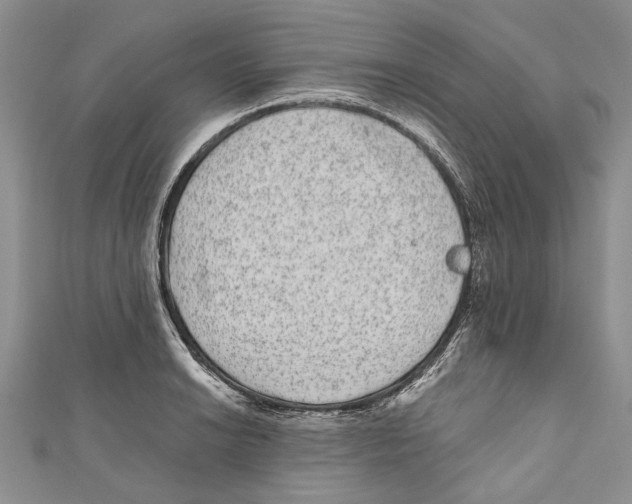 X0000110961038200907171645