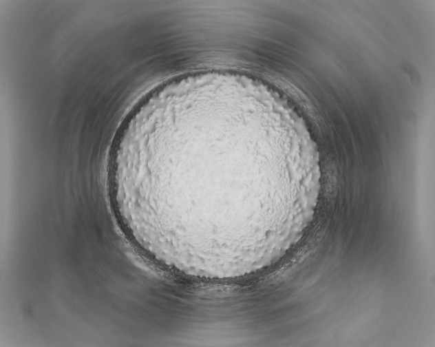 X0000110961039200907171645