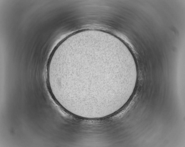 X0000110961040200907171645
