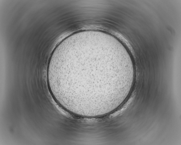 X0000110961041200907171645