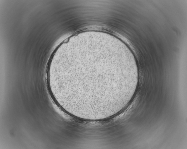 X0000110961042200907171645