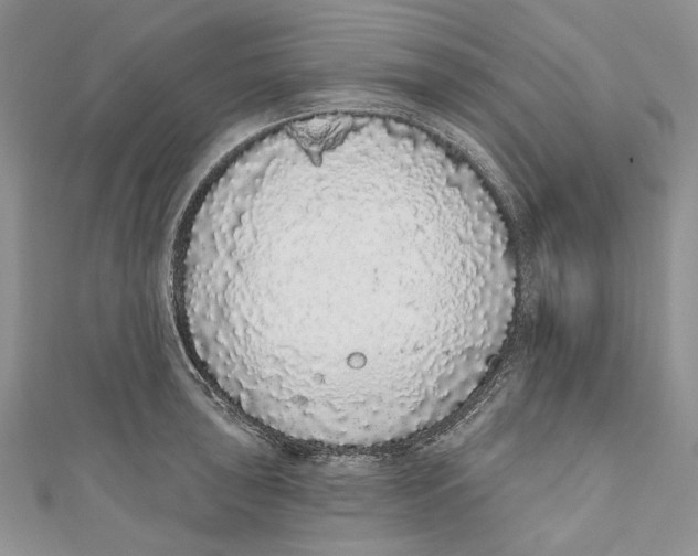 X0000110961043200907171645