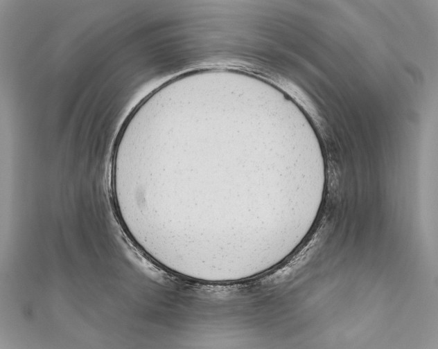 X0000110961044200907171645