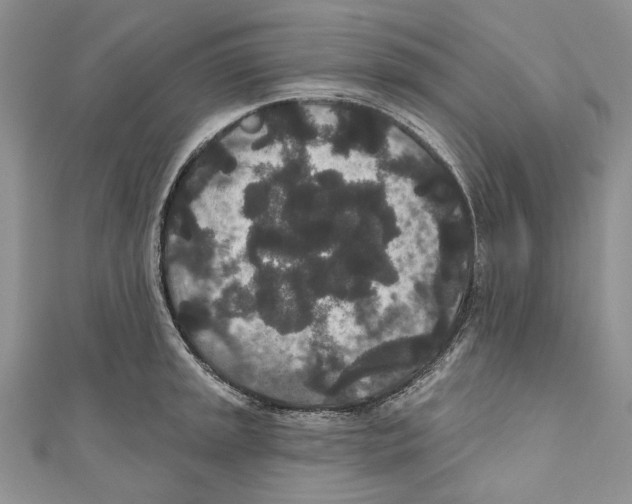 X0000110961045200907171645