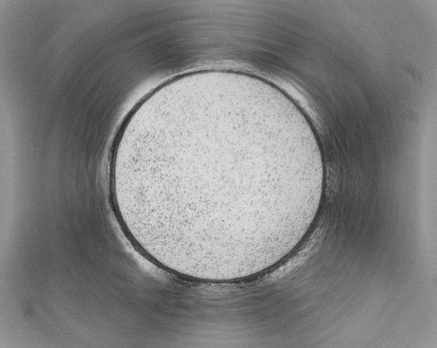 X0000110961046200907171645