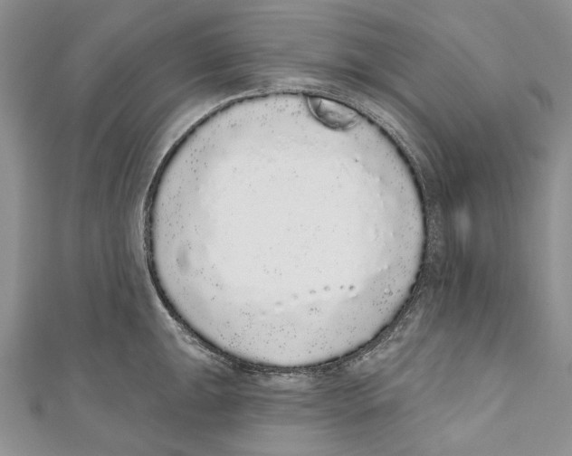 X0000110961047200907171645