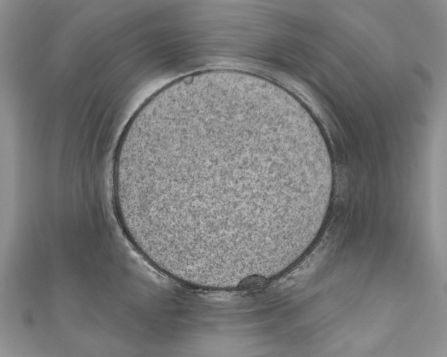 X0000110961048200907171645