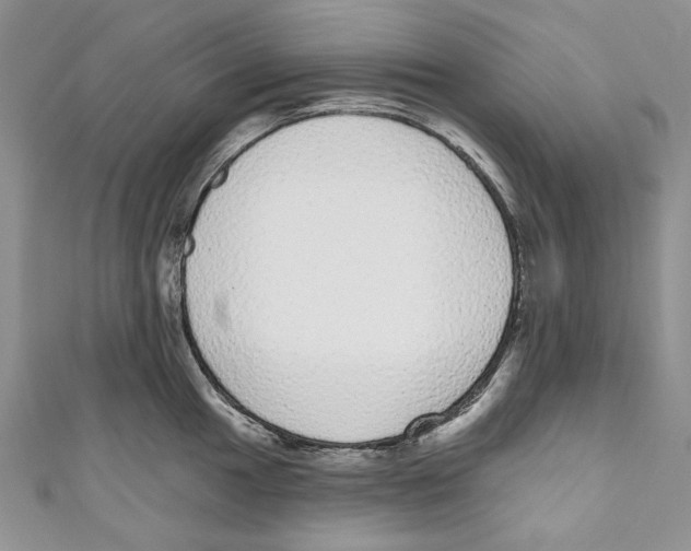 X0000110961049200907171645