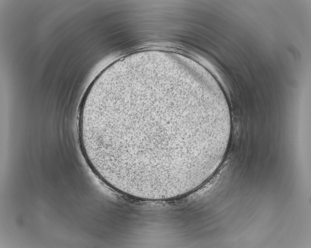 X0000110961050200907171645