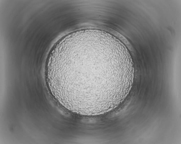 X0000110961051200907171645