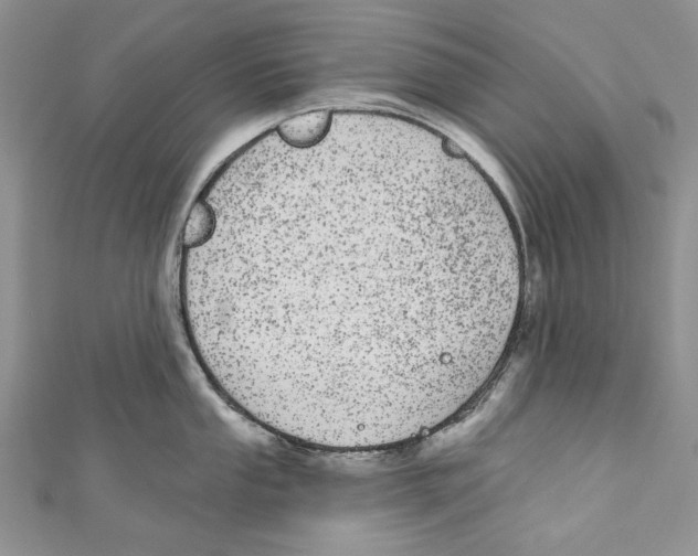 X0000110961053200907171645