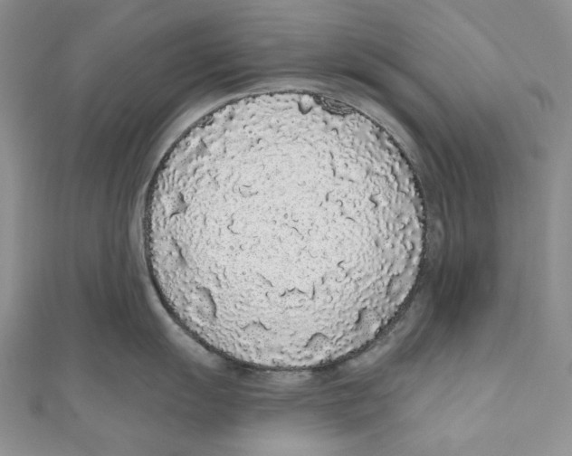 X0000110961055200907171645