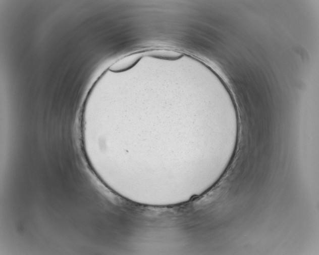 X0000110961056200907171645