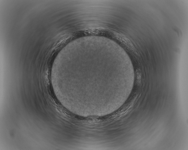 X0000110961060200907171645