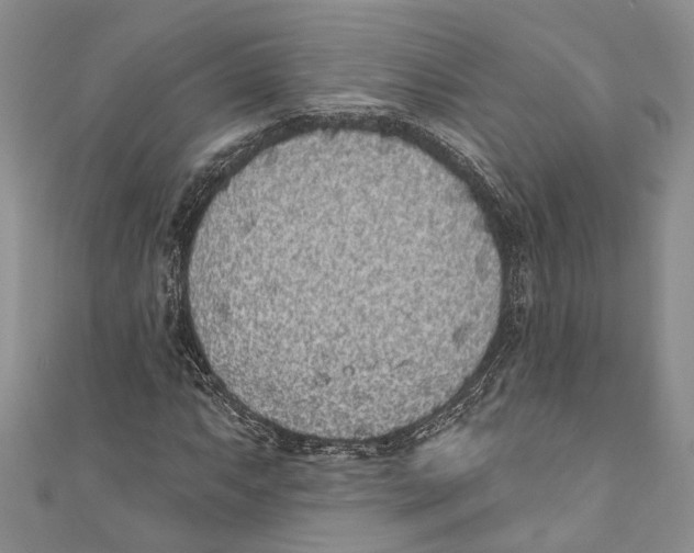 X0000110961063200907171645