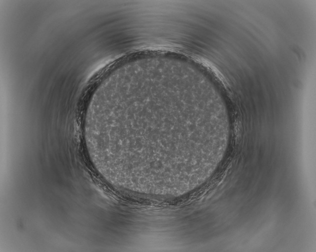 X0000110961064200907171645