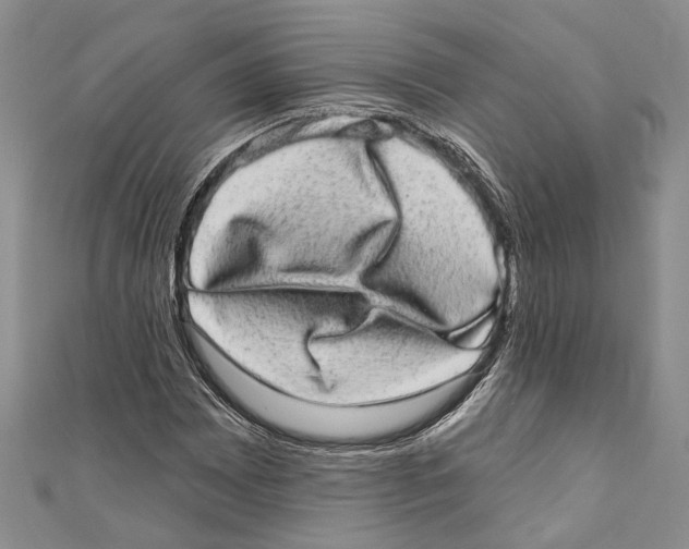 X0000110961065200907171645