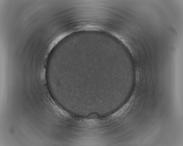 X0000110961066200907171645