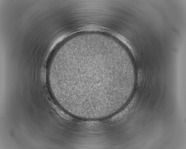 X0000110961067200907171645