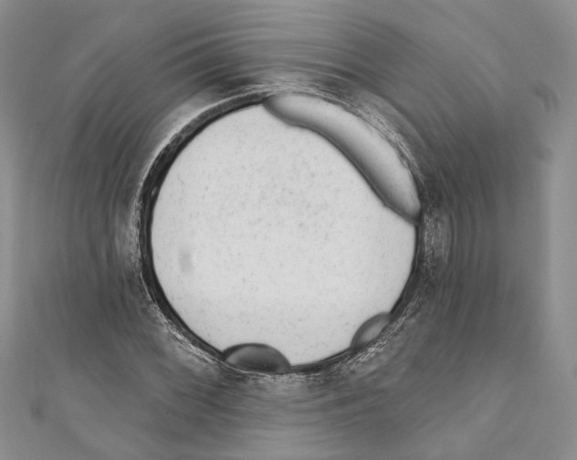 X0000110961068200907171645
