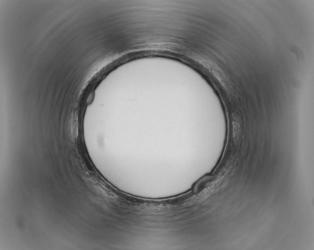 X0000110961069200907171645