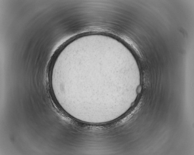 X0000110961070200907171645