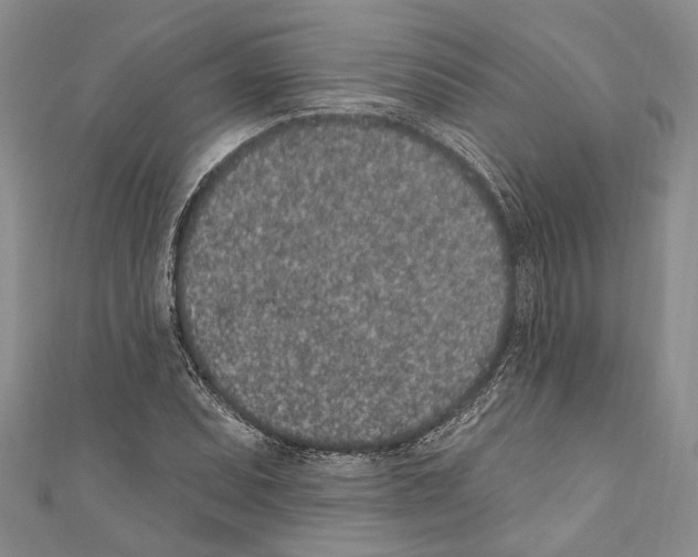 X0000110961071200907171645