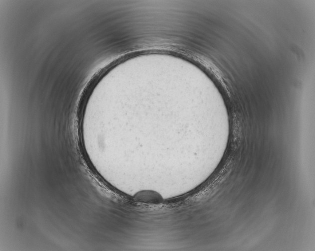 X0000110961072200907171645