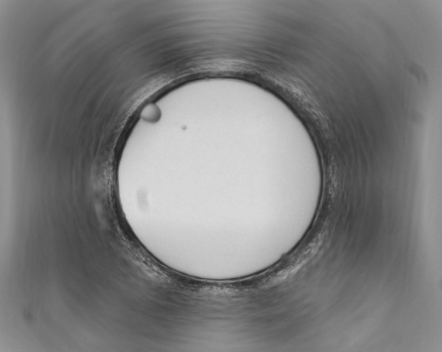 X0000110961073200907171645