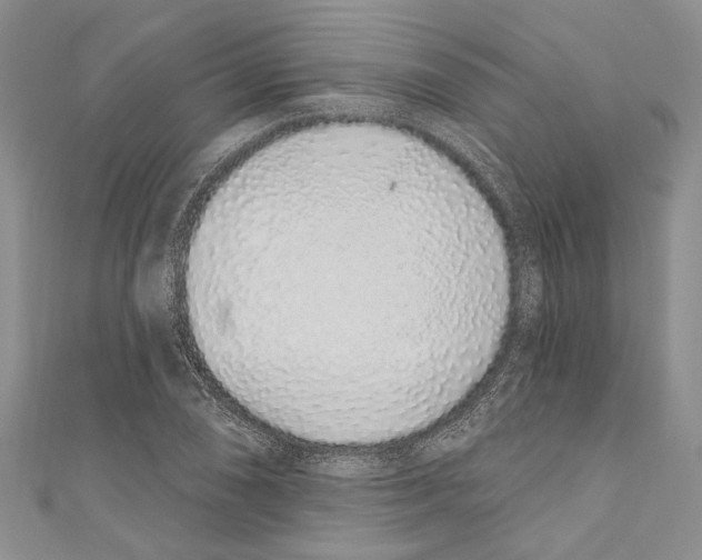 X0000110961074200907171645