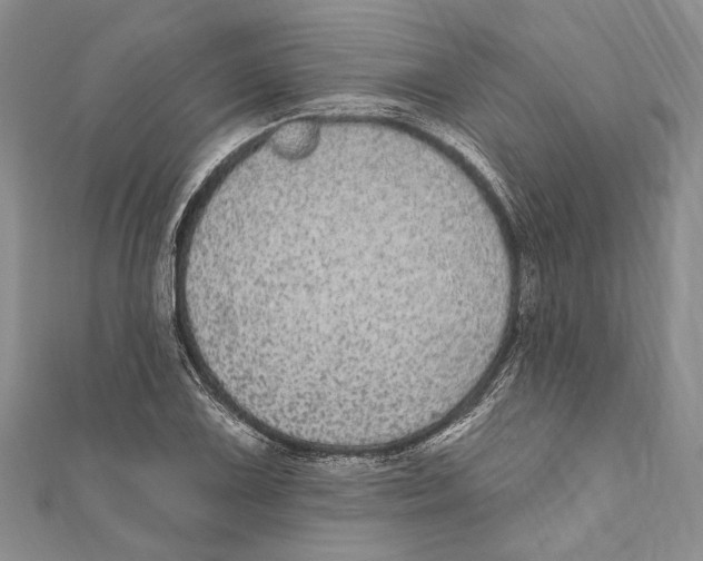 X0000110961075200907171645
